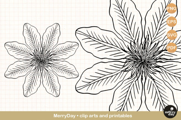 Clematis No. 2 Summer Flower Graphics