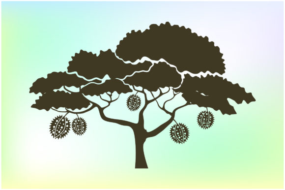 Durian Tree Graphics for Modern Branding