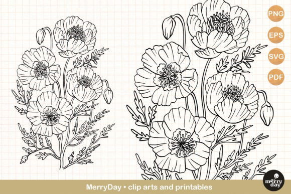 Flower Drawing Poppy Clip Art Svg for Local Business Graphics
