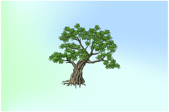 Great Oak Tree Illustrations Vector Review