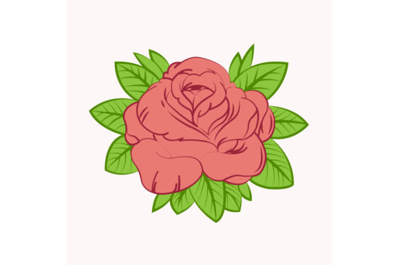Pink Rose with Leaves Illustration Review