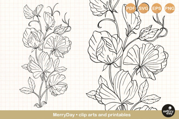 Sweet Pea Flower Graphics for Branding and Marketing